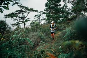 BIB: 
                            <button type="button" onclick="openModal(25257918)" class="btn btn-primary btn-sm float-right btn-popup" data-toggle="modal" data-target=".modal-high-quality">
                        <i class="fas fa-shopping-cart"></i> Add to Cart
                    </button>
                                            <button type="button" onclick="isThisMe(25257918, true)" class="btn btn-success btn-sm float-right btn-popup btn-isme hidden" data-toggle="tooltip" data-placement="bottom" title="นี่คือรูปของคุณใช่ไหม คลิกที่นี่เพื่อเอาเข้าอัลบั้ม">
                        <i class="fas fa-plus"></i> Add to album
                    </button>
                    <button type="button" onclick="isThisMe(25257918, false)" class="btn btn-warning btn-sm float-right btn-popup btn-isnotme hidden">
                        <i class="fas fa-ban"></i> Remove from album
                    </button>